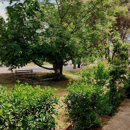 Appartamento Cozy & Bright Garden Flat