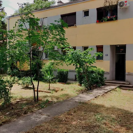 Cozy & Bright Garden Flat Appartement